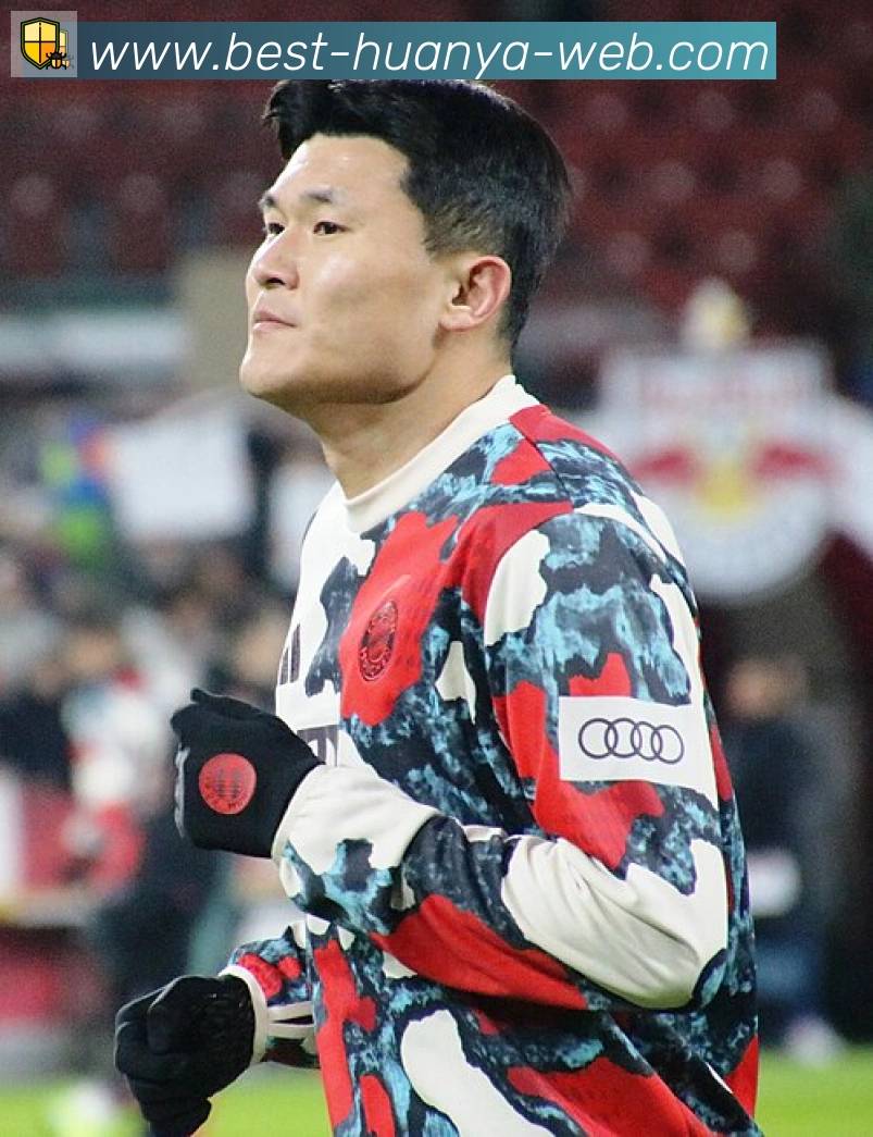 维尼修斯